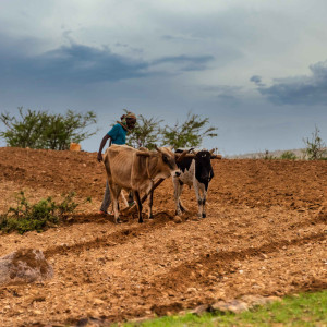 Climate change Africa