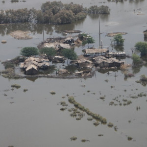 Pakistan Disaster Relief