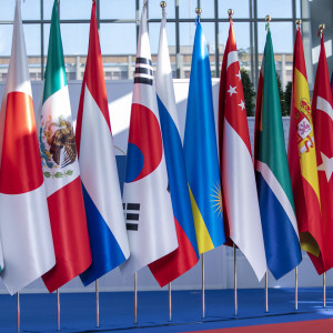 G20 flags