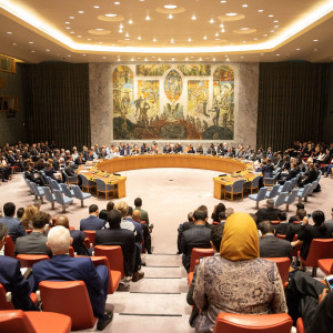 UN Security Council