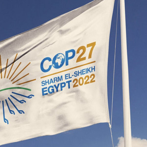 cop 27 main image